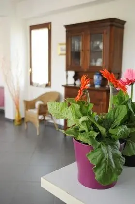La Circumetnea B&B - Lobi