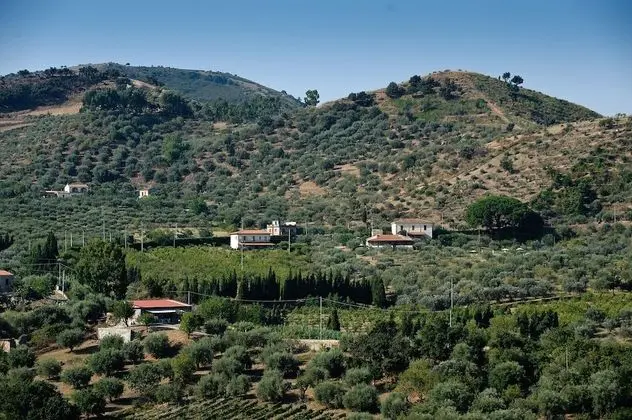 La Collina degli Ulivi - Casa Ulivi 2