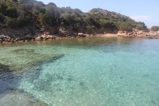 Hotel la Conchiglia - Plaj
