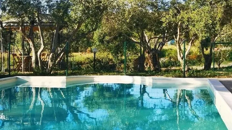 la corte degli ulivi