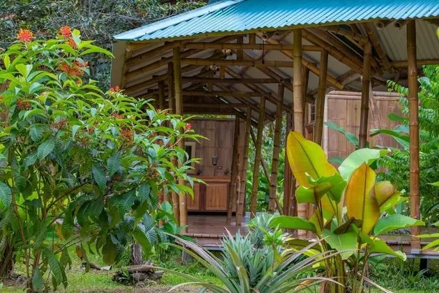 La Cotinga Biological Station - Dış Mekan