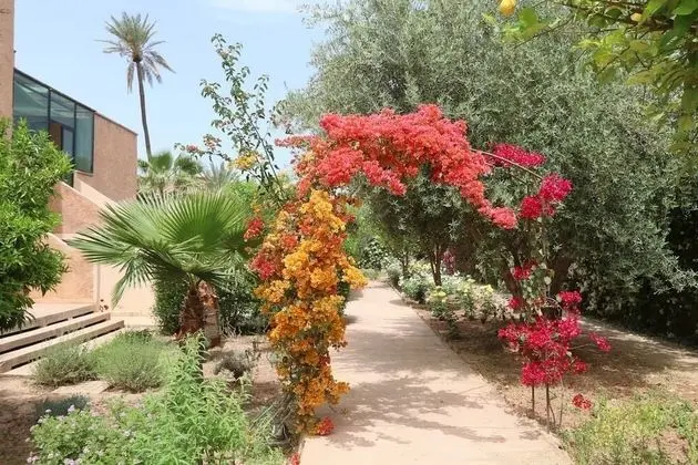 La Villa des Golfs - Dış Mekan