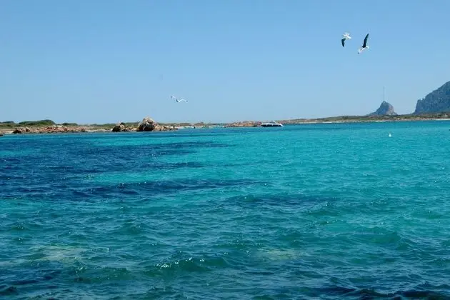 La Dimora Di Montelittu With AC - Dış Mekan