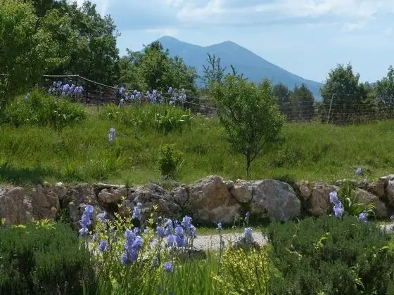 La Ferme du Petit Ségriès - Dış Mekan