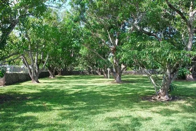 La Finca Miami by SoFla Vacations - Dış Mekan