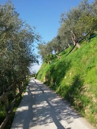 La Fusarella Villa Santoro - Dış Mekan