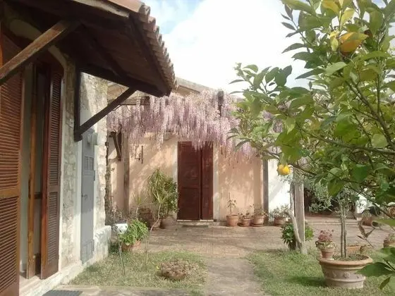 La Gabbianella e il Gatto - Dış Mekan
