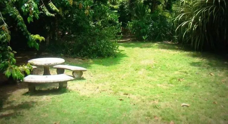 La Gamba Rainforest Lodge - Dış Mekan