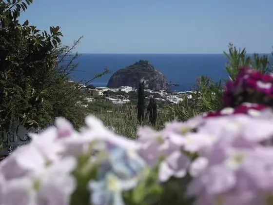 La Ginestra
