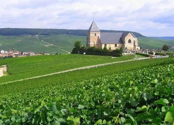 La Grange en Champagne - Genel