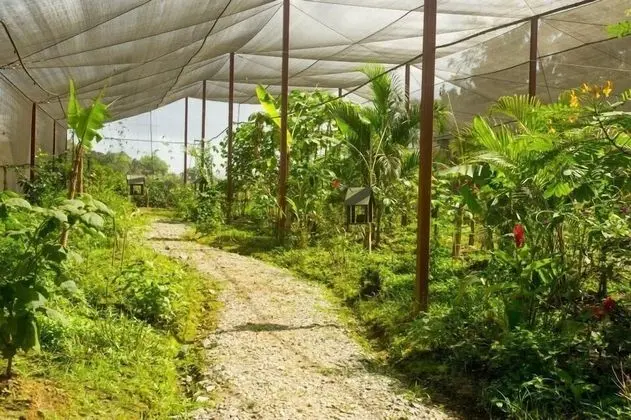 La Granja Campo Y Aventura