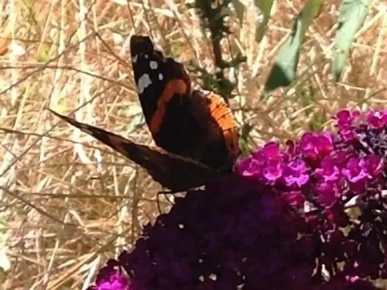 La Guinière Chambres D'hôtes