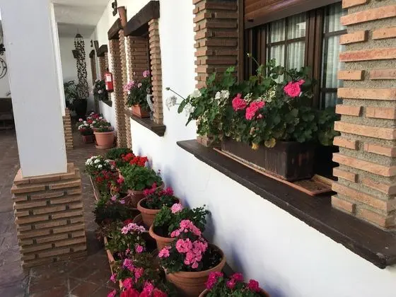 La Hacienda del Marquesado - Dış Mekan