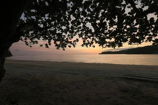La Jolla Luxury Beach Resort - Plaj