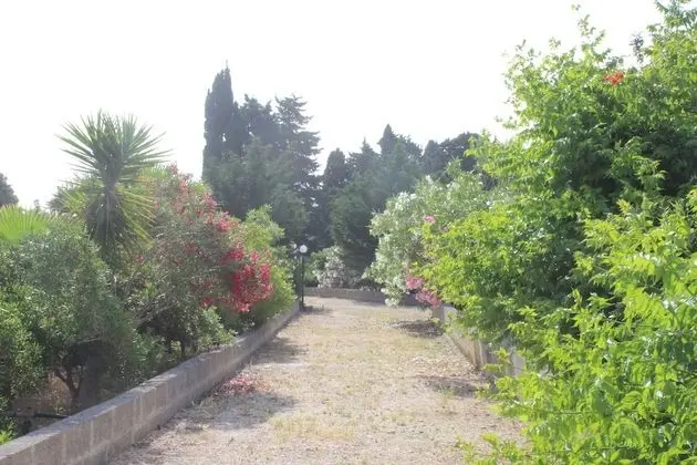 La Lanterna delle Fate
