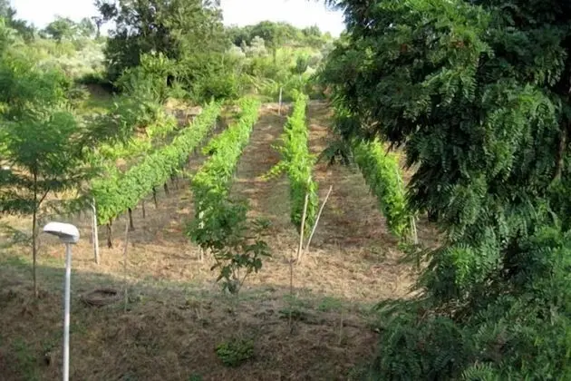 La Locanda di Campagna - Dış Mekan