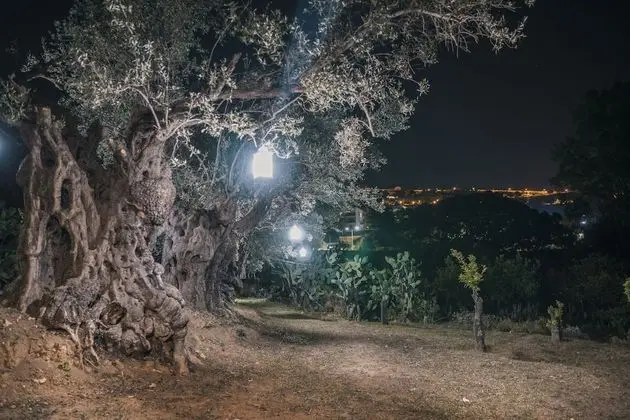 Villa La Lumia B&B Suites & Apartments - Dış Mekan