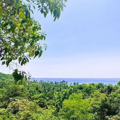 Villa La Luna de Miel Mazunte - Plaj