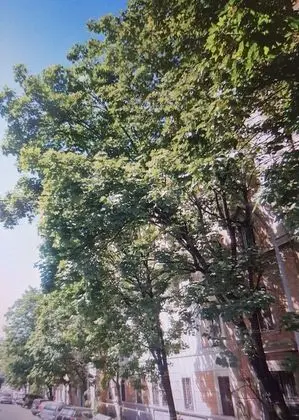 La Lupa In Trastevere - Dış Mekan