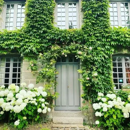 La Maison D'aline - Lobi