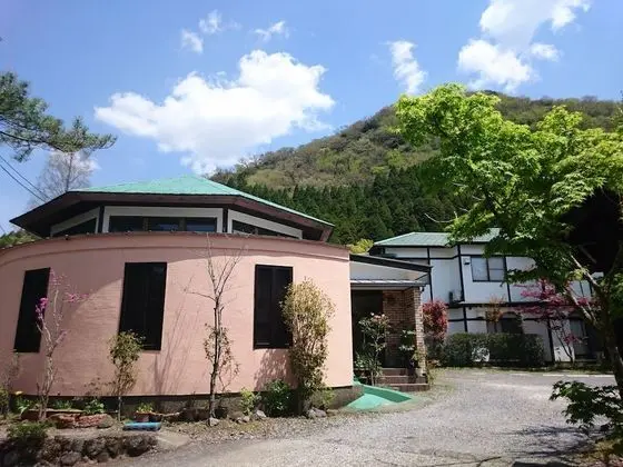 La Maison De David