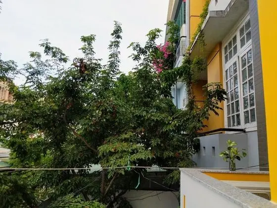 La Maison De Ruby Apartment - Dış Mekan