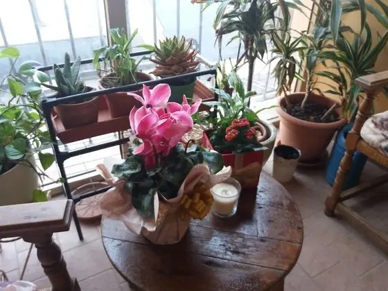 La Maison del Corso B&B
