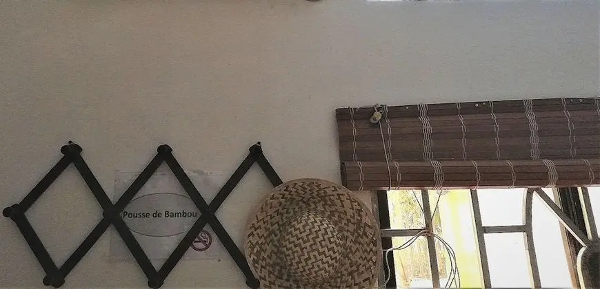 La Maison des Bambous LMDBSR - İç Mekan