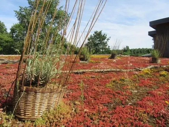 La Maison d'Hôtes D'une Autre Nature - Dış Mekan