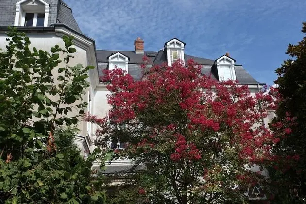 La Maison Jules - Öne Çıkan Resim