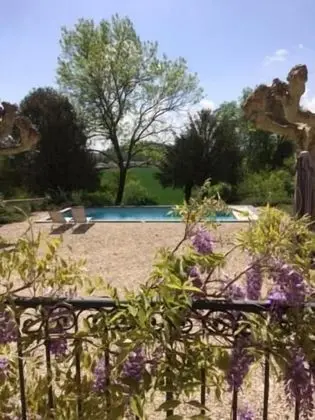 Villa La Maternité - Havuz