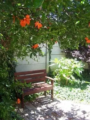 La Paix Guest House - Dış Mekan
