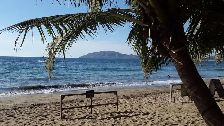Hotel La Palapa