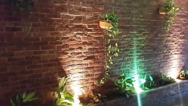 Hotel La Palapa - Dış Mekan