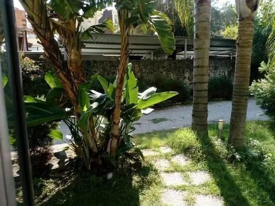 Hotel La Palma - Dış Mekan