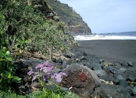 La Palma Sun Nudist - Plaj
