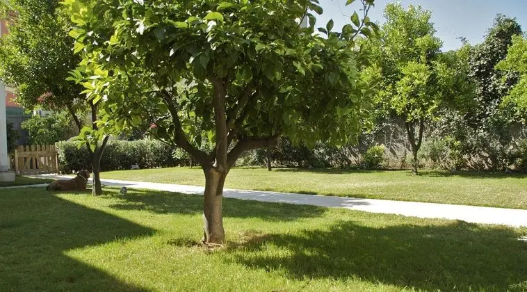 La Peonia Bed & Breakfast Di Charme