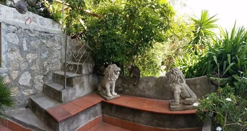 La Perla - Lobi