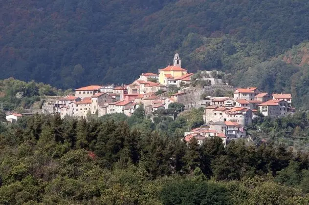 La Pineta Park Hotel - Öne Çıkan Resim