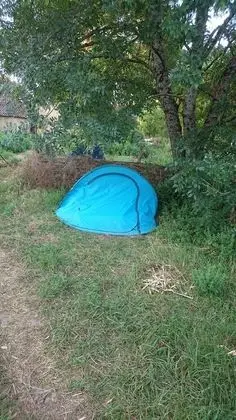 La Piraterie des Galinoux