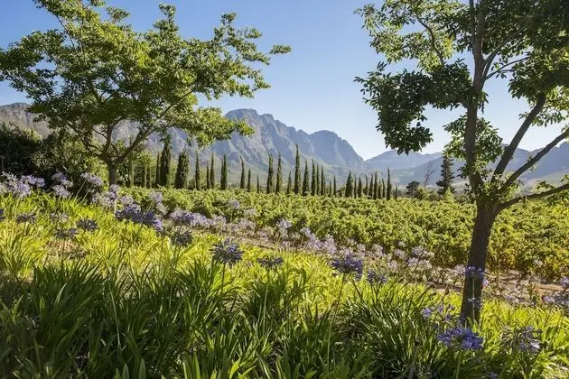 La Providence Guest House & Wine Farm - Dış Mekan