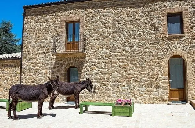 La Quercia e l'Asino - Dış Mekan