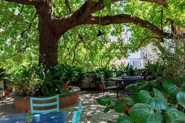 Villa La Quercia - Yerinde Yemek