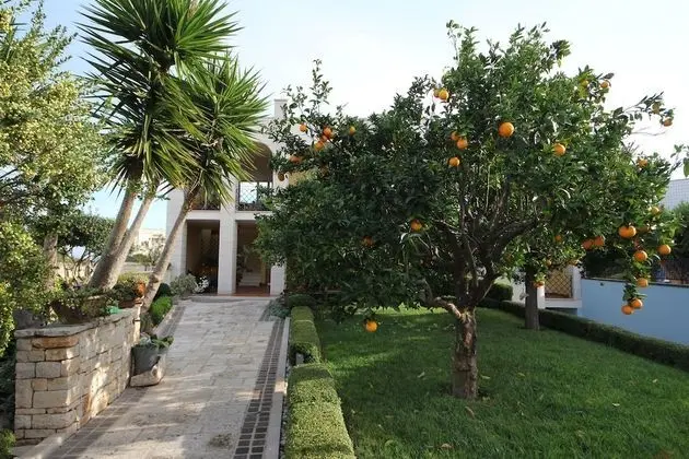 La Rosa Blu Bed & Breakfast