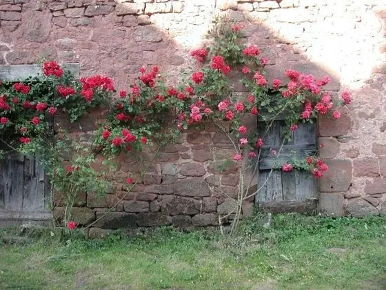 La Roumec - Dış Mekan