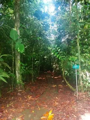 La Selva Biological Station - Dış Mekan