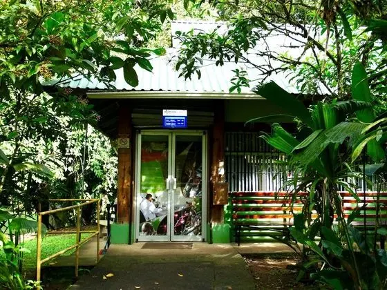 La Selva Biological Station - Lobi