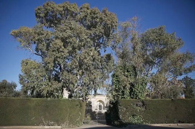 La Serra - Villa De Bonis - Dış Mekan