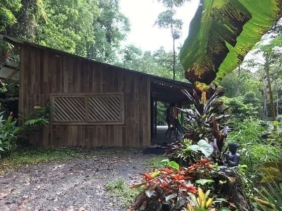 La Shamana Ecological, Concept in the Jungle - Dış Mekan