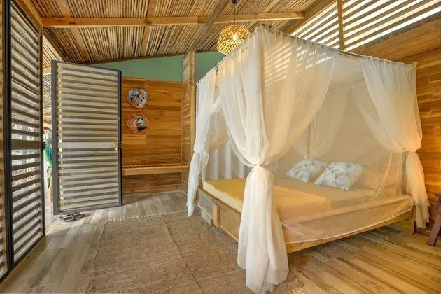 La Shamana Ecological, Concept in the Jungle - Oda